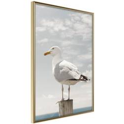 Arkiio Affisch Seagull [Poster] 40x60 Poster